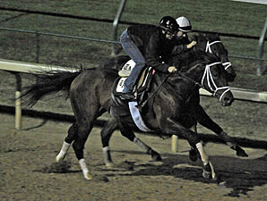 Quality Road Leads Pletcher Work Brigade Quality Road Leads Pletcher Work Brigade