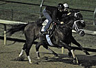 Quality Road Leads Pletcher Work Brigade