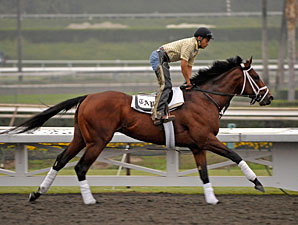 Haskin's Breeders' Cup Wrap: Final Thoughts Haskin's Breeders' Cup Wrap: Final Thoughts