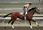 Haskin's Breeders' Cup Wrap: Final Thoughts  
