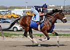 Quality Road Out of Derby Contention