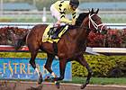 Q & A With Quality Road Trainer Todd Pletcher