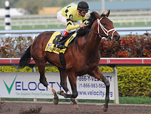 Quality Road Gets Back to Work in Florida Quality Road Gets Back to Work in Florida