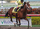Quality Road Gets Back to Work in Florida
