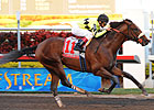 Quality Road Rolls in Fountain of Youth