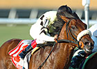 Ky. Derby Trail: Road to the Roses