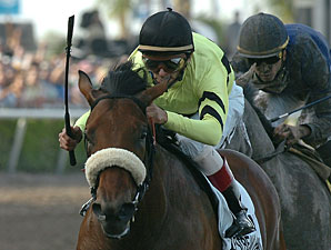 Quality Road Treated, Jerkens Optimistic Quality Road Treated, Jerkens Optimistic