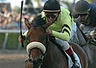 Quality Road Treated, Jerkens Optimistic