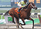 Met Mile is Road to Breeding Shed Success Met Mile is Road to Breeding Shed Success