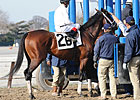 Quality Road Big A Schooling a Success       