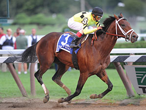 Quality Road, Other Pletcher Horses Work Quality Road, Other Pletcher Horses Work