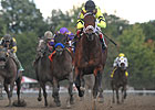 Featured Horse Profile: Quality Road Featured Horse Profile: Quality Road
