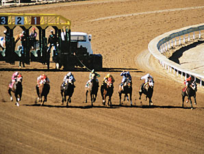 Keeneland: Track Plan About Horse Industry Keeneland: Track Plan About Horse Industry