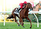 'Old Hollywood' Makes for Fun Del Mar Opener 'Old Hollywood' Makes for Fun Del Mar Opener