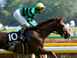 Queen Spumante Shocks Kyoto With QE II Upset Queen Spumante Shocks Kyoto With QE II Upset