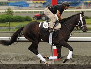 Queen'splatekitten Tops Even Red Bank Lineup Queen'splatekitten Tops Even Red Bank Lineup