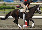 Queen'splatekitten Tops Even Red Bank Lineup
