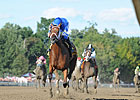 Questing Highlights Short Cotillion Field