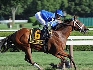 Godolphin Racing's Champion Questing Retired Godolphin Racing's Champion Questing Retired