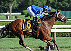 Godolphin Racing's Champion Questing Retired Godolphin Racing's Champion Questing Retired