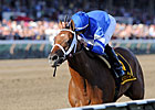 Questing Named Champion 3-Year-Old Filly Questing Named Champion 3-Year-Old Filly