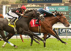 Quick Casablanca Posts Last Tycoon Surprise Quick Casablanca Posts Last Tycoon Surprise