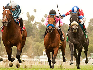 Last Tycoon Rematch Set in Whittingham Stakes Last Tycoon Rematch Set in Whittingham Stakes