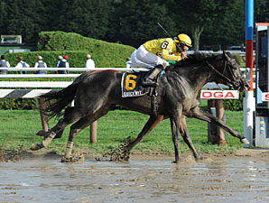 Quick Wit Prevails in Off-Turf Hall of Fame Quick Wit Prevails in Off-Turf Hall of Fame