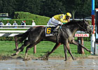 Quick Wit Prevails in Off-Turf Hall of Fame Quick Wit Prevails in Off-Turf Hall of Fame