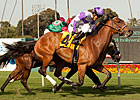 Quiet Oasis Makes Some Noise in Wilshire Win Quiet Oasis Makes Some Noise in Wilshire Win