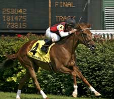 Quite a Bride Sets Churchill Turf Mark in Mint Julep Quite a Bride Sets Churchill Turf Mark in Mint Julep
