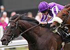 Royal Ascot Interview - Aidan O'Brien