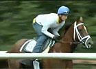 Royal Ascot - More Than Real Royal Ascot - More Than Real