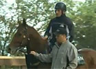 Royal Ascot - Star Witness Royal Ascot - Star Witness