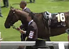 Royal Ascot Interview - Tony Millard