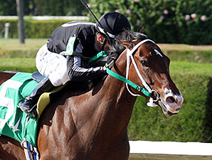 R Free Roll Aims to Tumble Sugar Swirl Rivals R Free Roll Aims to Tumble Sugar Swirl Rivals