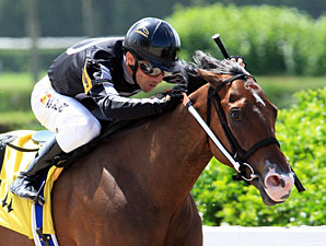 R Free Roll Seeks Another Win Over Males R Free Roll Seeks Another Win Over Males