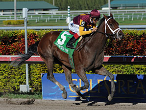 R Heat Lightning Drills Bullet at Gulfstream R Heat Lightning Drills Bullet at Gulfstream