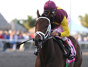 R Heat Lightning Withdrawn from Kentucky Oaks R Heat Lightning Withdrawn from Kentucky Oaks