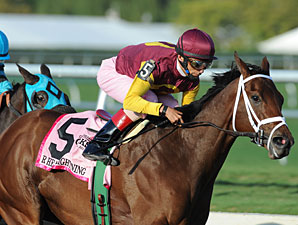 R Heat Lightning Has Bullet Work at Belmont R Heat Lightning Has Bullet Work at Belmont