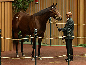 R Heat Lightning Fetches $1.6M at Keeneland R Heat Lightning Fetches $1.6M at Keeneland