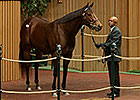 R Heat Lightning Fetches $1.6M at Keeneland R Heat Lightning Fetches $1.6M at Keeneland