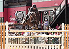 Retired Racehorse Training Project 2013 Retired Racehorse Training Project 2013