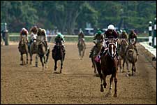 Soundness in the Thoroughbred Soundness in the Thoroughbred
