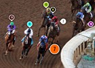 2014 Breeders' Cup Classic Race Sequence 2014 Breeders' Cup Classic Race Sequence