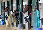 Gulfstream to Build More Temporary Stalls Gulfstream to Build More Temporary Stalls