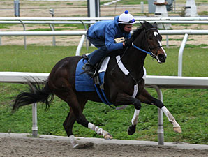 Rachel Drills Six Furlongs in Company Rachel Drills Six Furlongs in Company