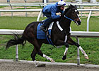 Rachel Drills Six Furlongs in Company Rachel Drills Six Furlongs in Company