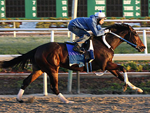 Rachel, Zenyatta Work Toward 2010 Debuts Rachel, Zenyatta Work Toward 2010 Debuts
