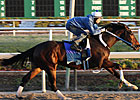 Rachel Alexandra Fires Bullet at Churchill Rachel Alexandra Fires Bullet at Churchill